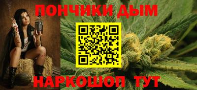 дмт Камышлов