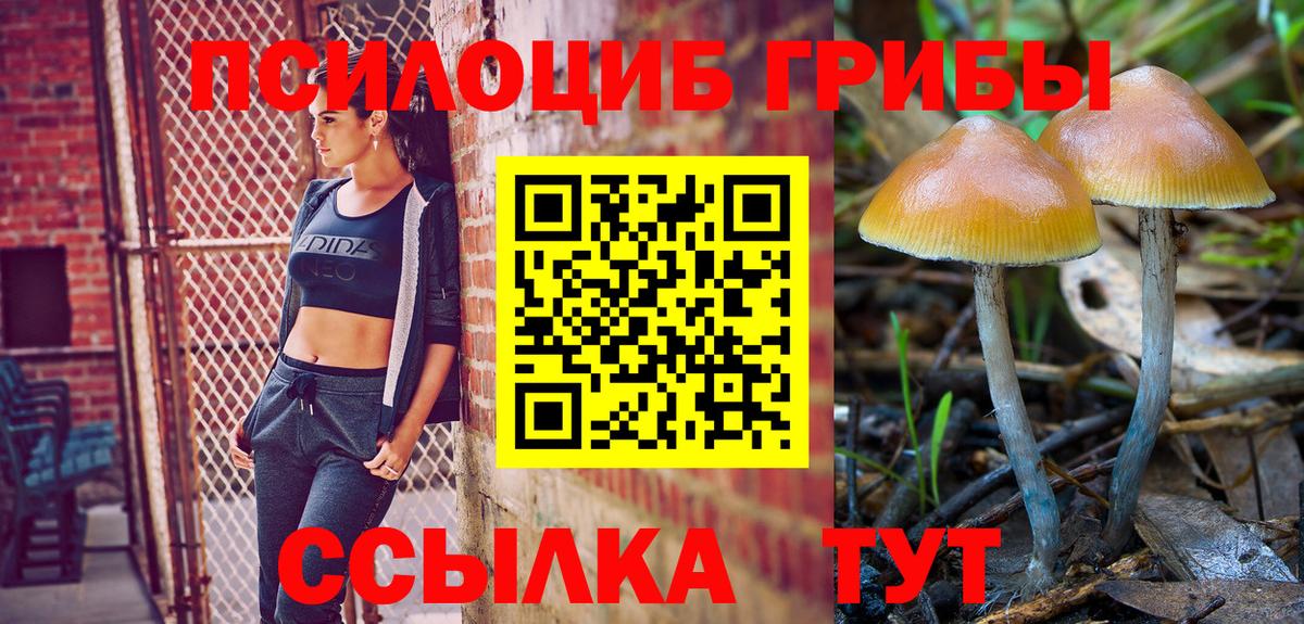 Псилоцибиновые грибы мухоморы  Вход с VPN  Псилоцибиновые грибы Cubensis  купить наркотики цена  Киселёвск 