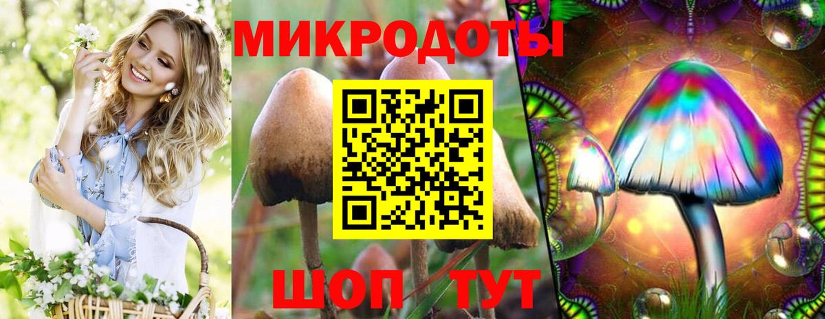 Галлюциногенные грибы Psilocybine cubensis Киселёвск